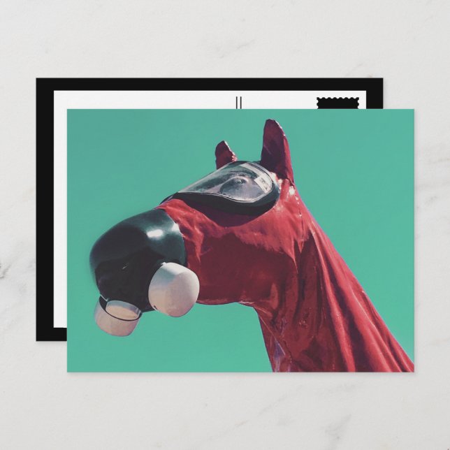 kaltes Pferd Postkarte (Vorne/Hinten)