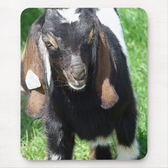 Kalvin Mousepad (Vorne)