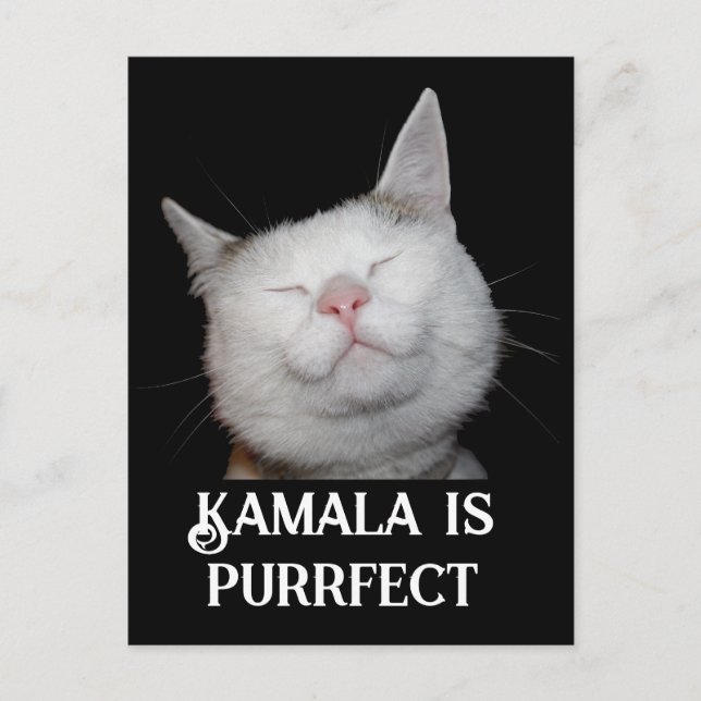 Kamala ist Purrfect Postkarte (Vorderseite)