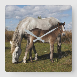 Kamargue Horse Foel mit Mutter Quadratische Wanduhr