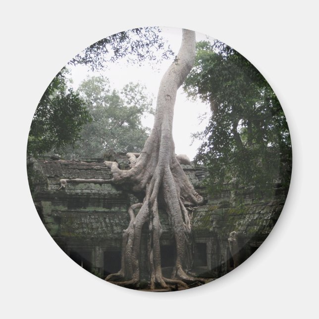 Kambodschanischer Tempel im Dschungel Magnet (Vorne)