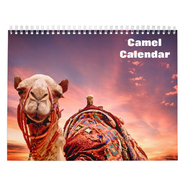 Kamel 2027 kalender (Titelbild)