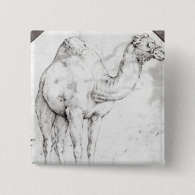 Kamel Button (Vorderseite)