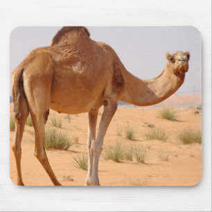 Kamel für Araber-Mausunterlage Mousepad