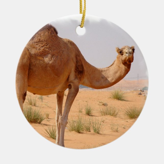 Kamel für Araber-Verzierung Keramikornament (Vorne)
