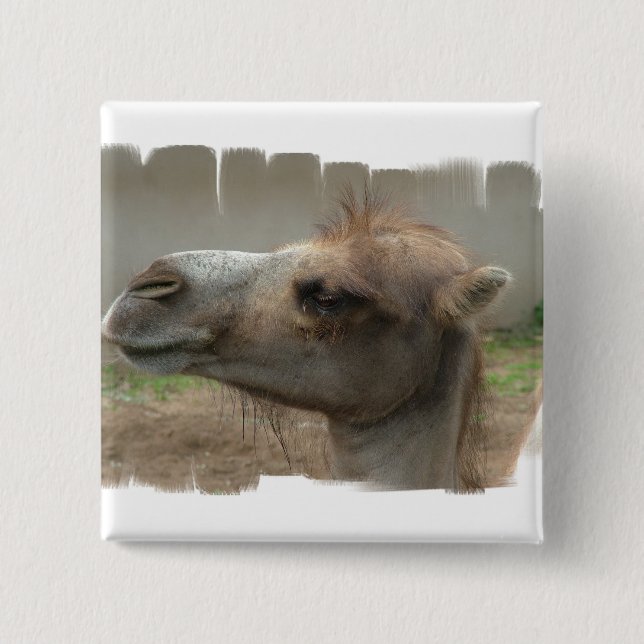 Kamel-Hauptknopf Button (Vorderseite)