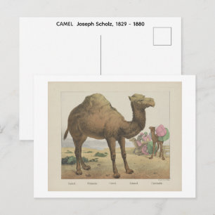 KAMEL Joseph Scholz, 1829 - 1880 Postkarte
