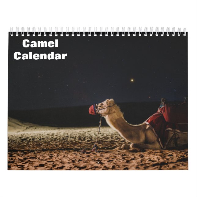 Kamel-Kalender Kalender (Titelbild)