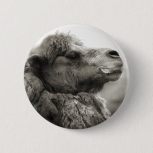 Kamel-Knopf Button