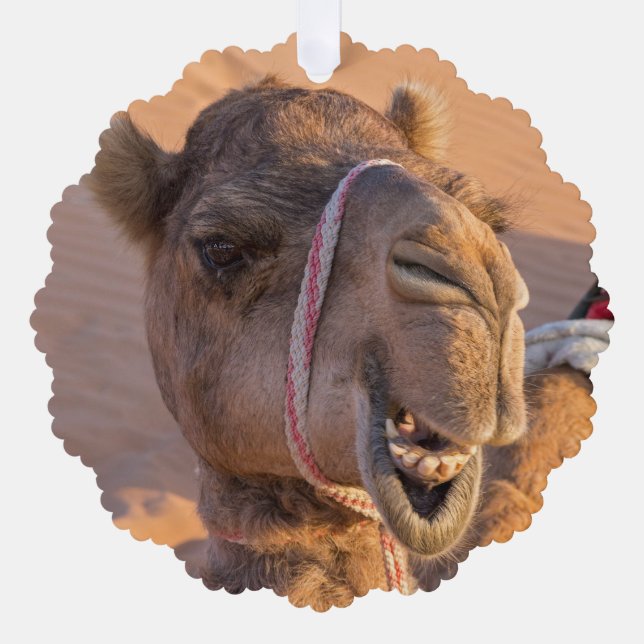 Kamel mit lustigem Gesichtsausdruck - Oman Ornament Karte (Vorderseite)