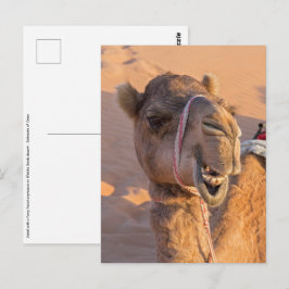 Kamel mit lustigem Gesichtsausdruck - Oman Postkarte