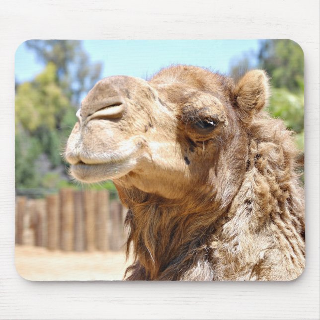 Kamel Mousepad (Vorne)