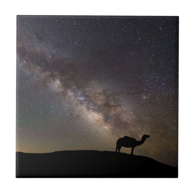 Kamel Silhouette und Milkyway Fliese (Vorderseite)