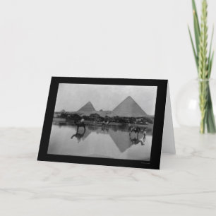Kamel und Pyramiden in Ägypten 1899 Karte