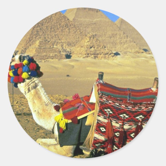 Kamel und Pyramiden, Kairo, Ägypten Runder Aufkleber (Vorderseite)