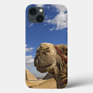 Kamel vor den Pyramiden von Giseh, Ägypten, Case-Mate iPhone Hülle