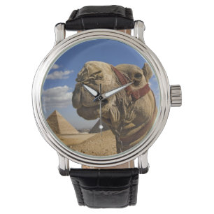 Kamel vor den Pyramiden von Giza, Ägypten, Armbanduhr