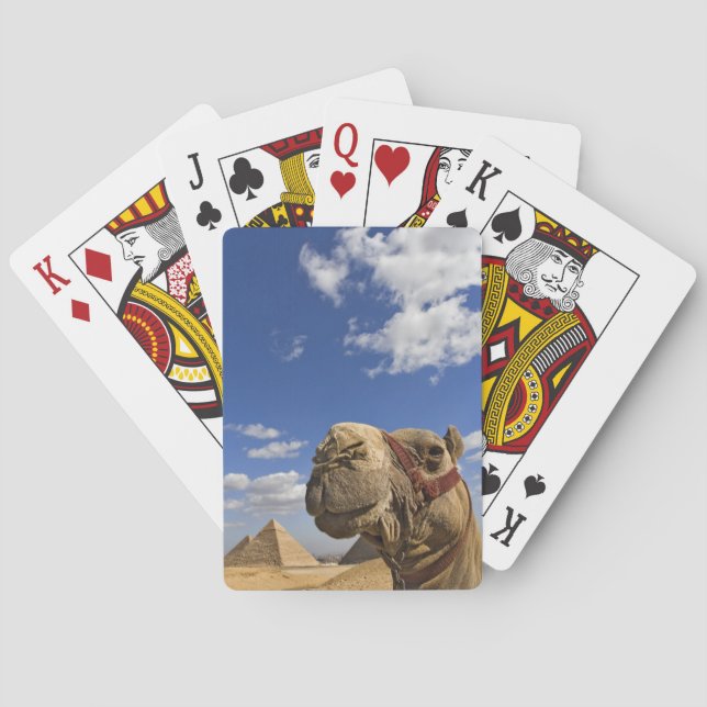 Kamel vor den Pyramiden von Gizeh, Ägypten, Spielkarten (Rückseite)