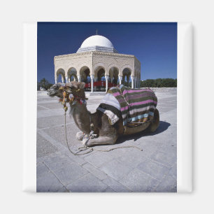 Kamel vor der Kuppel, Monastir, Tunesien Magnet