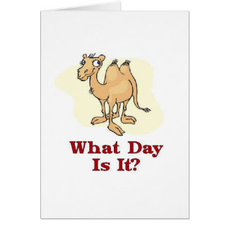 Kamel - welcher Tag ist es?