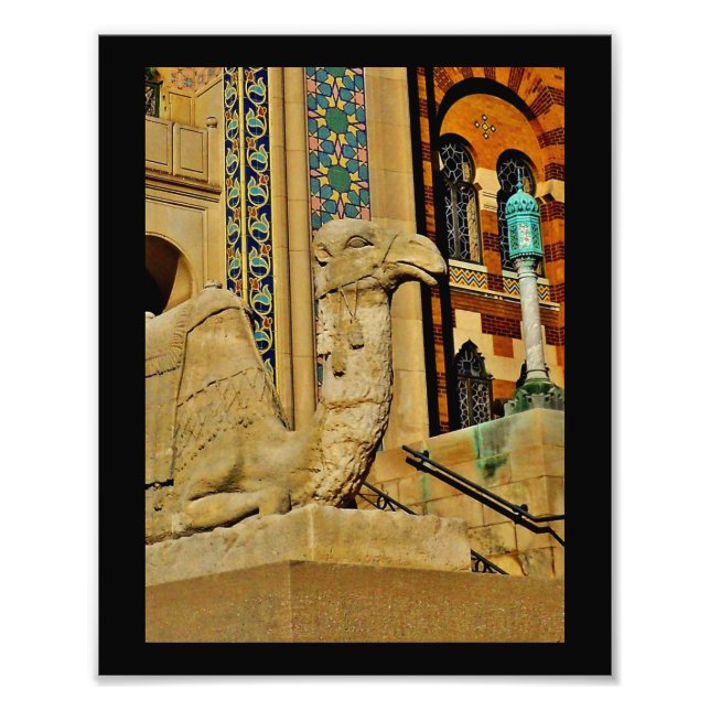 Kamelansicht Fotodruck (Vorne)