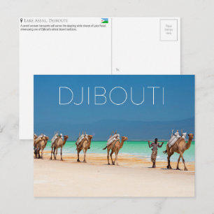 Kamele am Assal-See, Djibouti-Reisepostkarte Postkarte