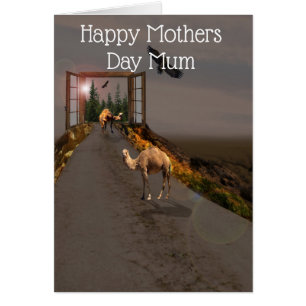 Kamele auf dem Weg zum Wunderland, Muttertag