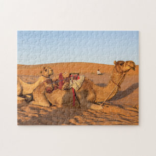 Kamele in der omanischen Wüste Wahiba