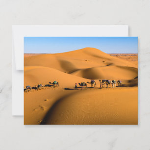 Kamele in der Wüste unter blauem Himmel