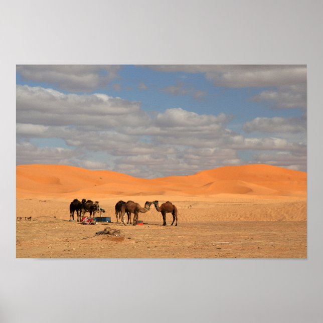 Kamele in Sahara-Wüstenposter Poster (Vorne)