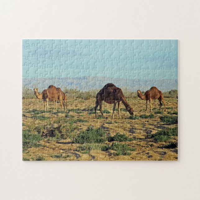 Kamele, Tunesien 252-pc (Horizontal)