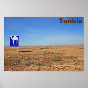 Kamelen - Zeichen, Tunesien Poster