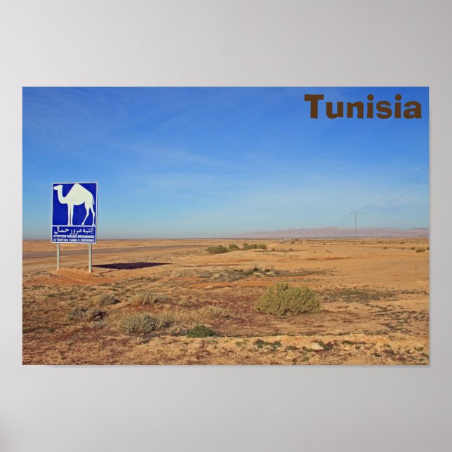 Kamelen - Zeichen, Tunesien Poster (Vorne)