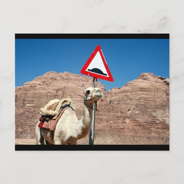 Kamelhöckergrenze Postkarte (Vorderseite)