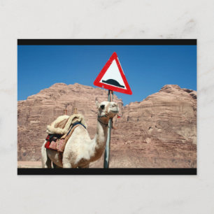 Kamelhöckgrenze Postkarte