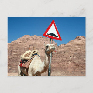 Kamelhöschen Postkarte