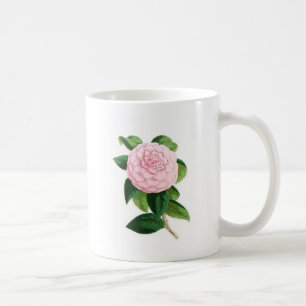 Kamelie, Duchesse De Nassau Kaffeetasse