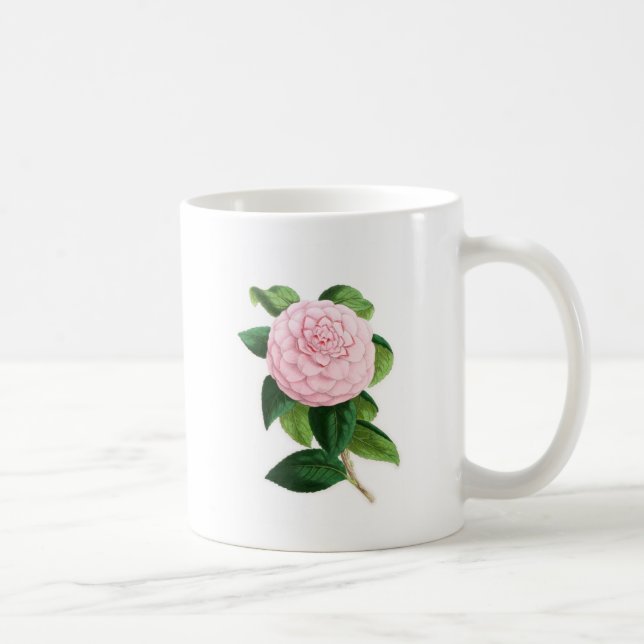 Kamelie, Duchesse De Nassau Kaffeetasse (Rechts)