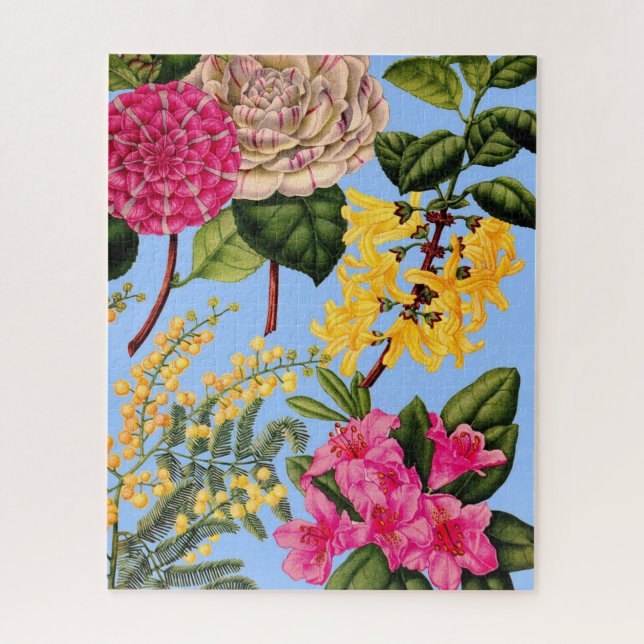 Kamelie, Forsythia, Rhododendron und Akazie (Vertikal)