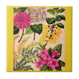 Kamelie, Forsythia, Rhododendron und Akazie Fliese