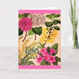Kamelie, Forsythia, Rhododendron und Akazie Karte
