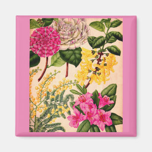 Kamelie, Forsythia, Rhododendron und Akazie Magnet