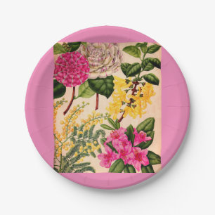 Kamelie, Forsythia, Rhododendron und Akazie Pappteller