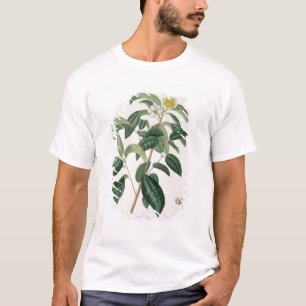 Kamelie Thea von "Phytographie Medicale" durch T-Shirt