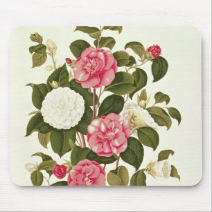 Kamelie von "einer Monographie auf den Klassen Mousepad