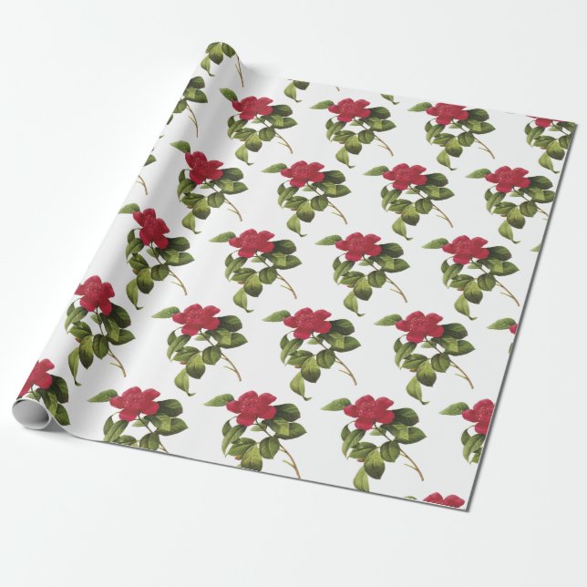 Kamelien-Blumenmuster Geschenkpapier (Ungerollt)