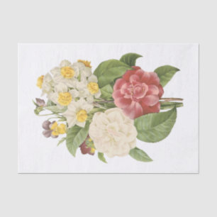 Kamelien, Narcissus, Pansy Seidenpapier