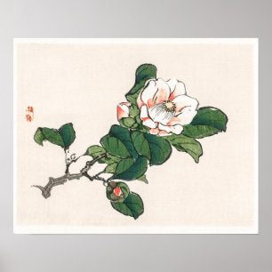 Kamelien von Kōno Bairei (1844-1895) Poster