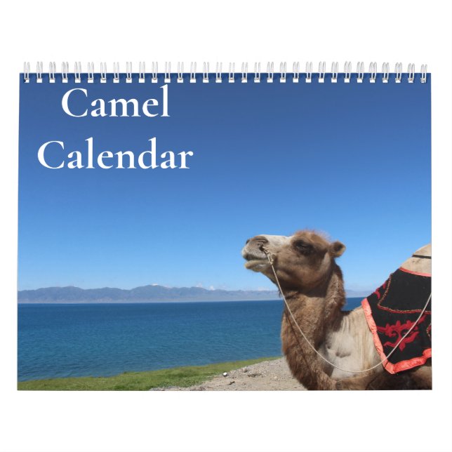 Kamelkalender 2025 kalender (Titelbild)