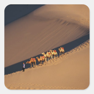 Kamelkarawane auf der Wüste, Dunhuang, Gansu Quadratischer Aufkleber